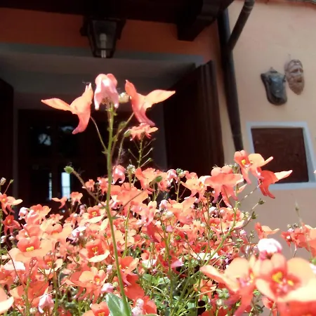La Corte Di Castello Bed & Breakfast *